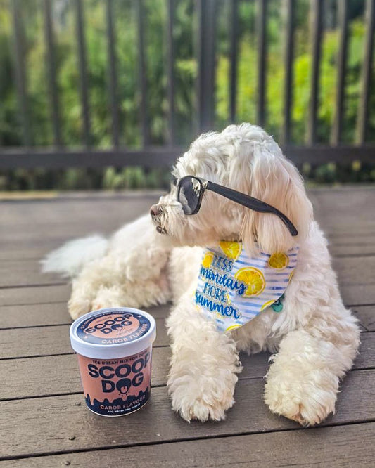 Bacon Ice Cream Mix - Scoop Dog