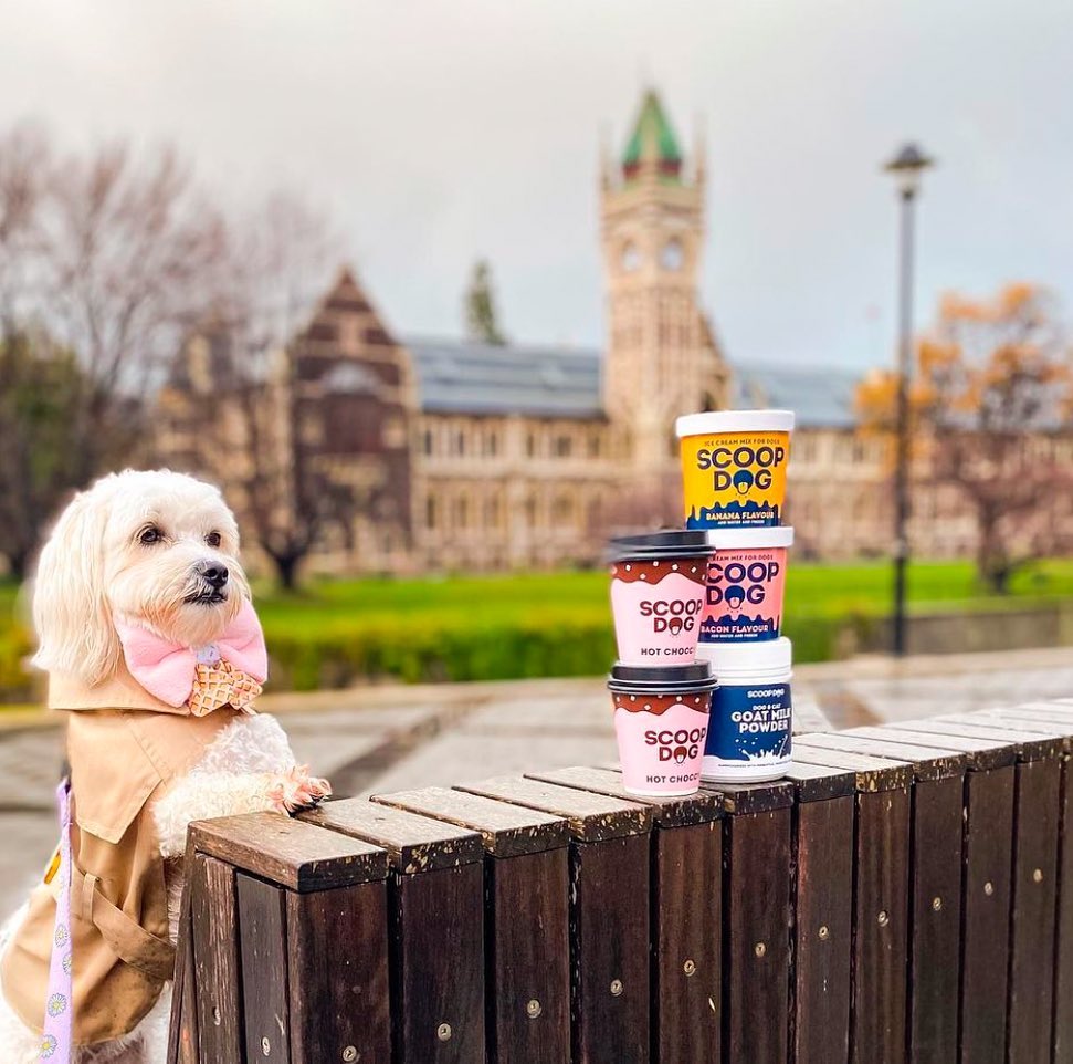 Bacon Ice Cream Mix - Scoop Dog