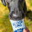 Barkday Ice Cream Mix - Scoop Dog  