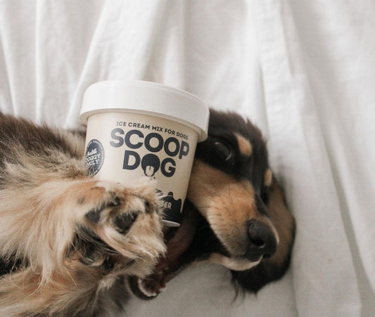 Peanut Butter Ice Cream Mix - Scoop Dog