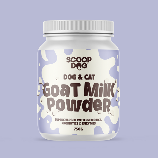Goat Milk Powder - Jumbo Size