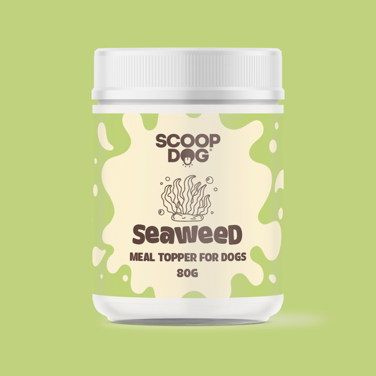 Seaweed