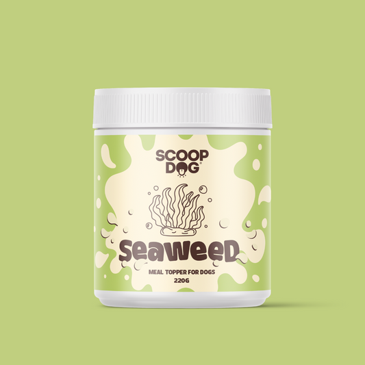 Seaweed