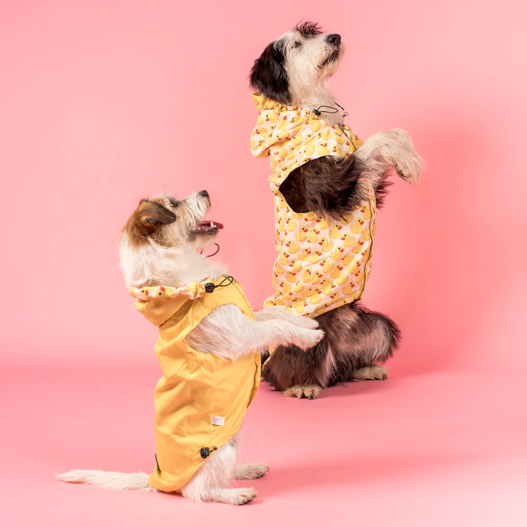 Pablo & Co Rubber Ducky Raincoat