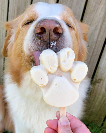 Vanilla Ice Cream Mix - Scoop Dog  