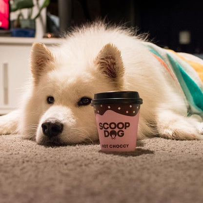 Hot Choccy For Dogs