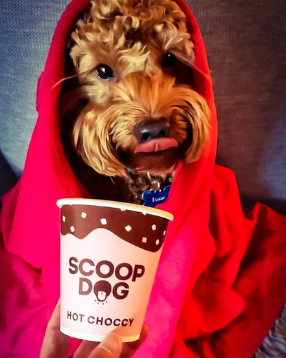 Hot Choccy For Dogs