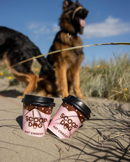 Hot Choccy For Dogs