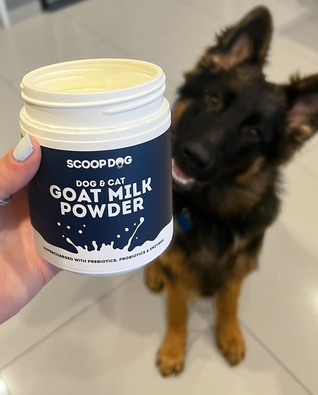 Scoop Dog Goat Milk