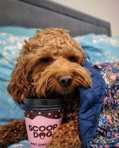 Hot Choccy Drink Mix - Scoop Dog  