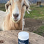 Goat Milk Powder - Scoop Dog  