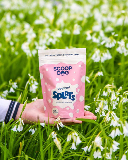 Yoghurt Splats - Scoop Dog  