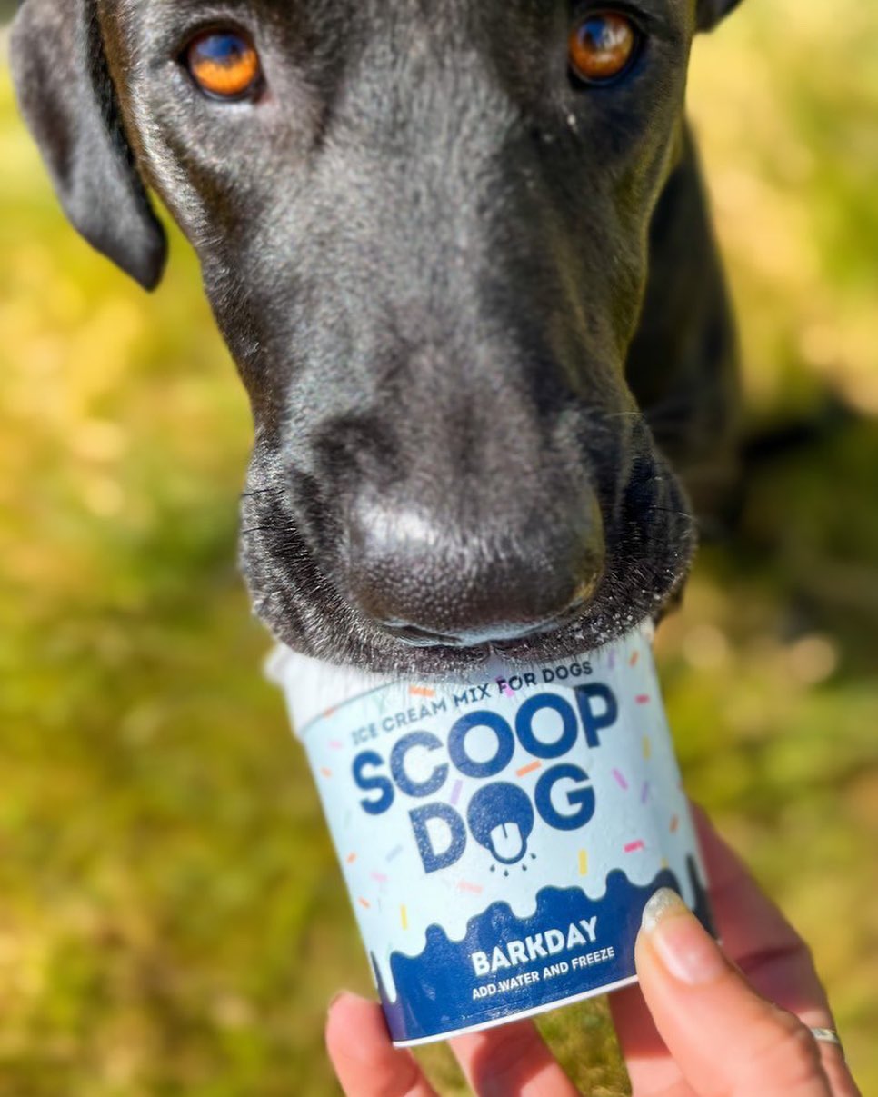 Barkday Ice Cream Mix - Scoop Dog  