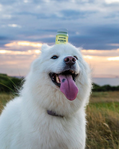 Dog Bubbles - Banana - Scoop Dog  