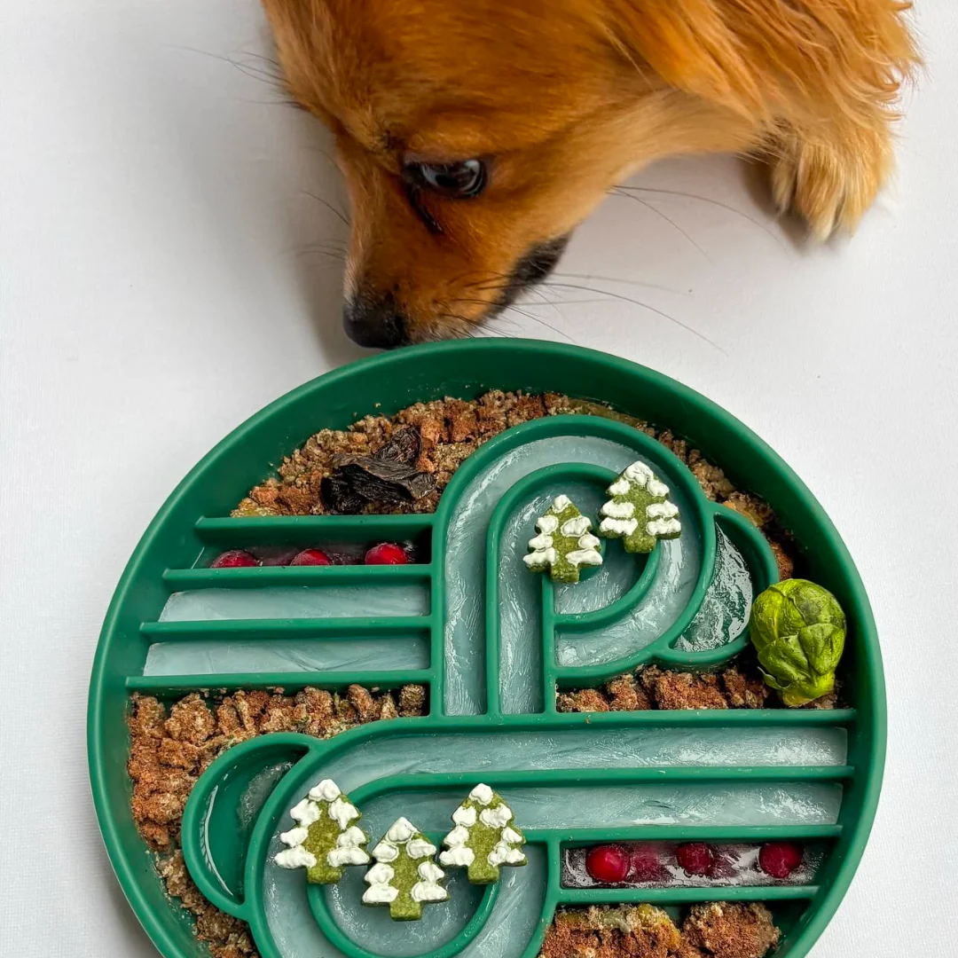 Zoomies slow feeder bowl | zucchini