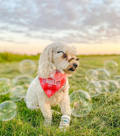 Dog Bubbles - Banana - Scoop Dog  