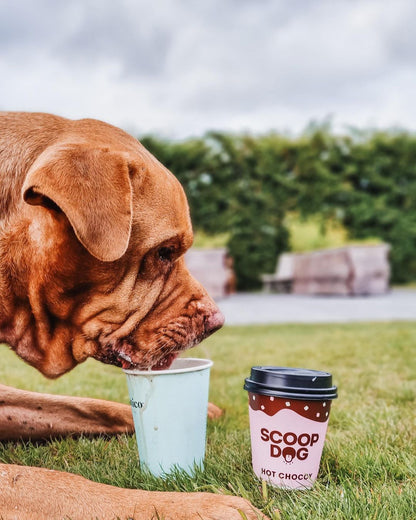 Hot Choccy Drink Mix - Scoop Dog  