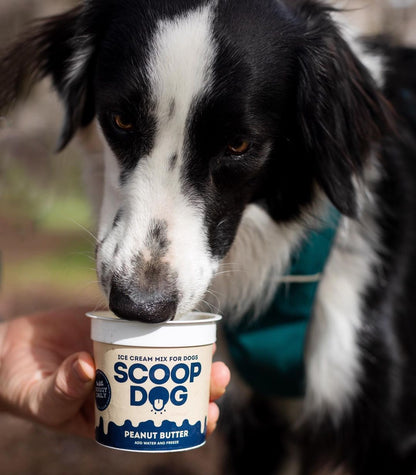 Peanut Butter Ice Cream Mix - Scoop Dog  