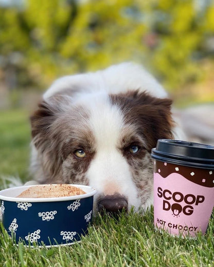 Hot Choccy Drink Mix - Scoop Dog  