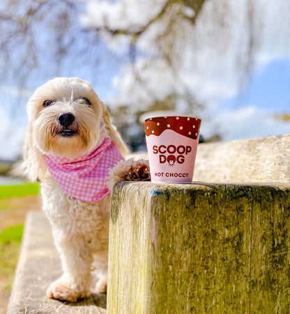 Hot Choccy Drink Mix - Scoop Dog  