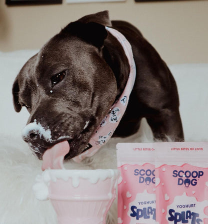 Yoghurt Splats - Scoop Dog  