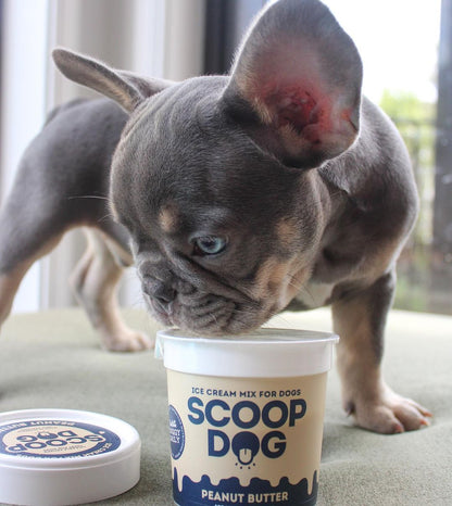 Peanut Butter Ice Cream Mix - Scoop Dog  