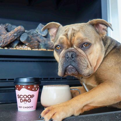 Hot Choccy Drink Mix - Scoop Dog  