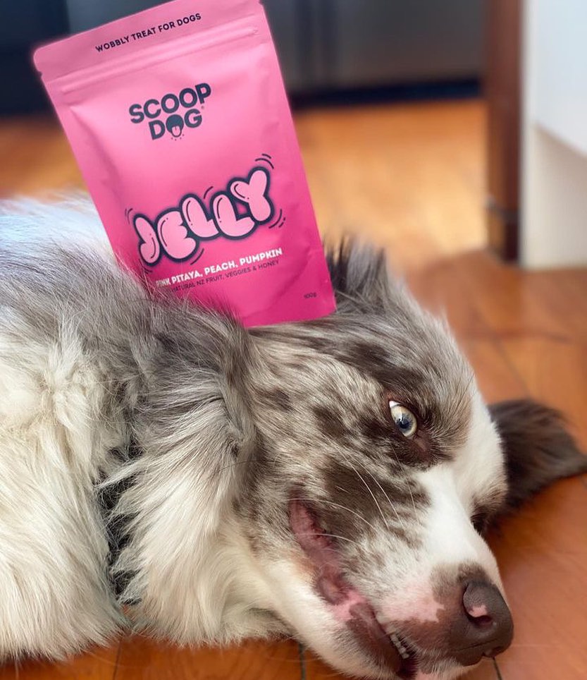 Pink Pitaya Dog Jelly - Scoop Dog  