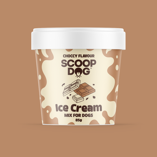Choccy Ice Cream Mix 85g