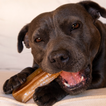 Chonkers - DoPaw Turkey Pâté Chew *PREORDER*