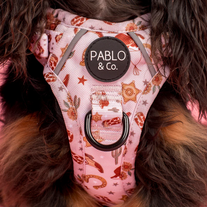 Pablo & Co Adventure Harness: Howdy