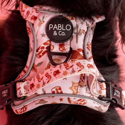 Pablo & Co Adventure Harness: Howdy