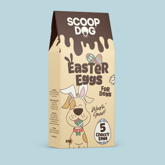 Easter Eggs For Dogs