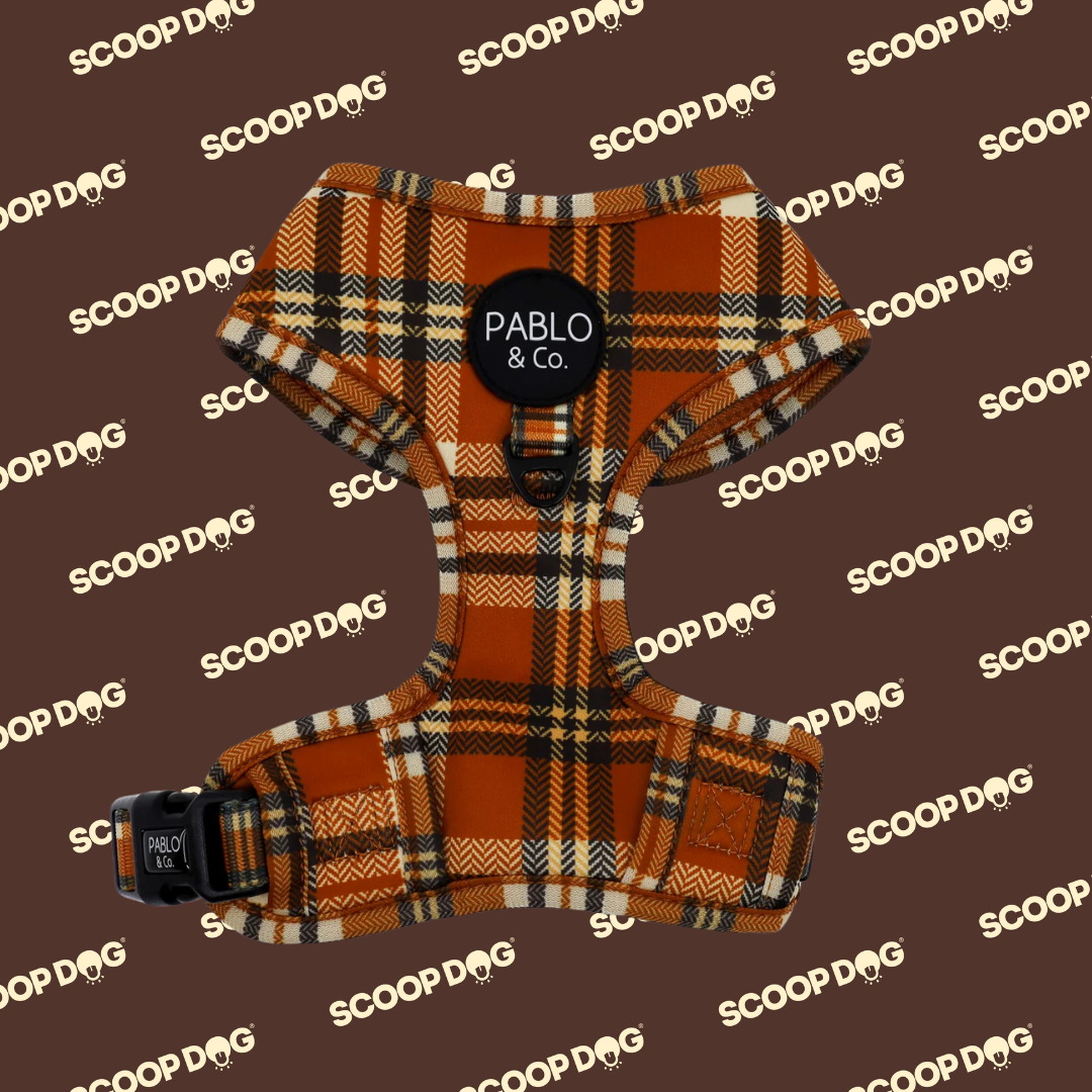 Pablo & Co Harness: Vintage Plaid