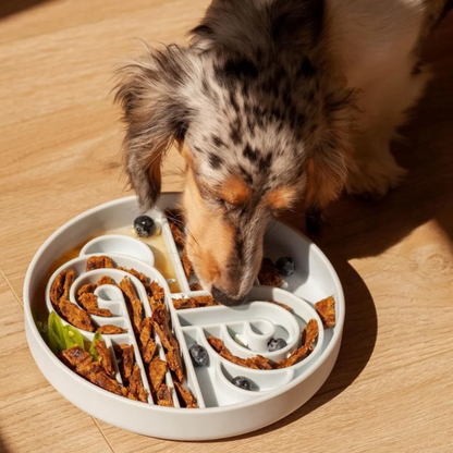 Zoomies slow feeder bowl | blueberry