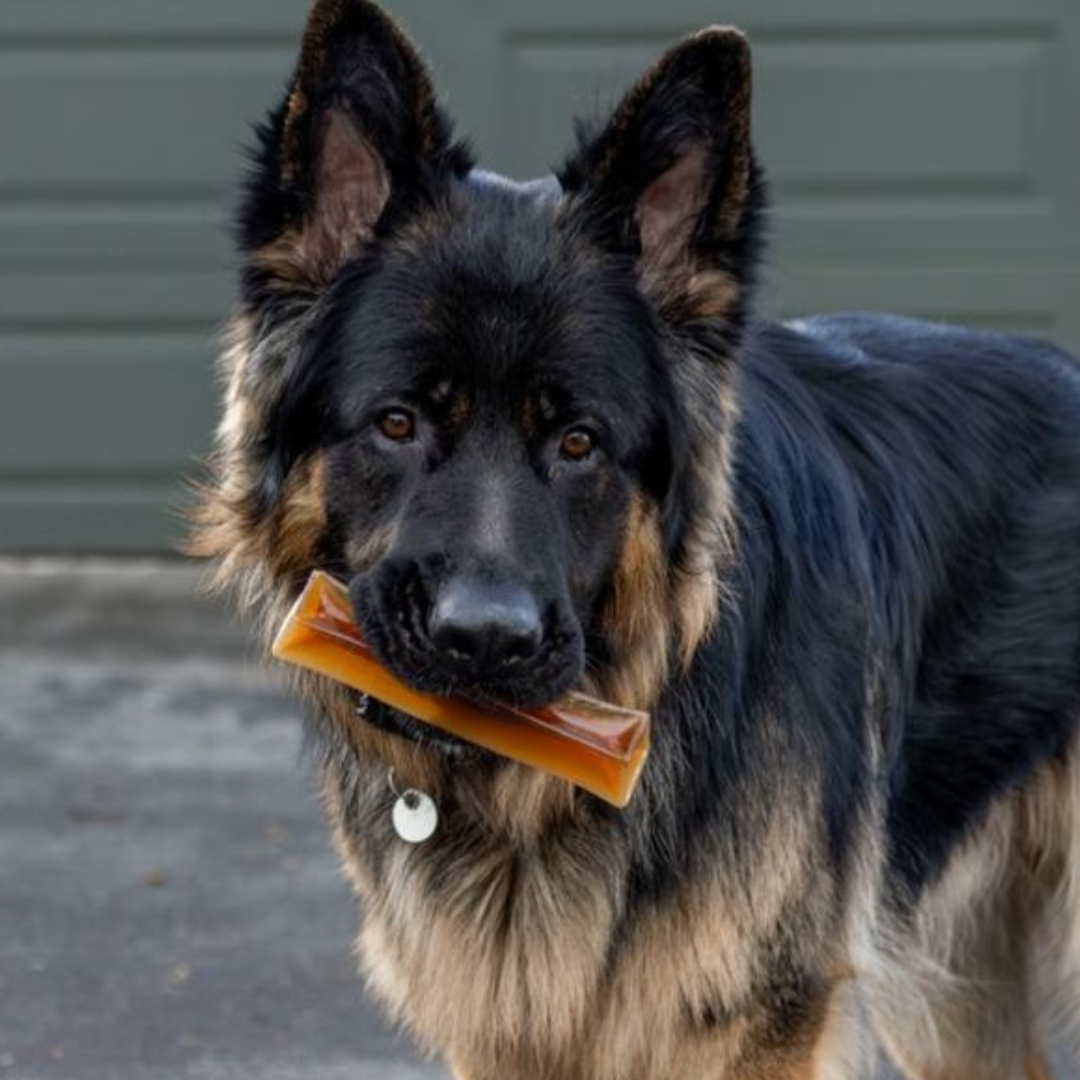 Chonkers - Peanut Butter Chew *PREORDER*