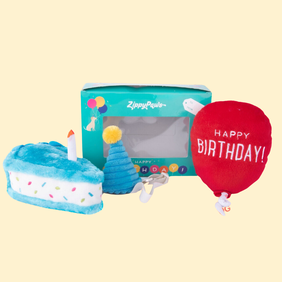 Zippy Paws Birthday Box Blue