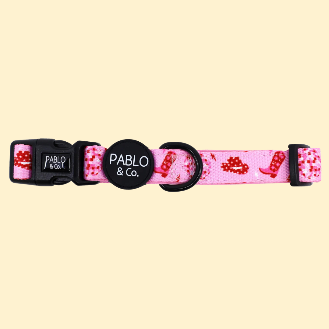 Pablo & Co Collar: Disco Cowgirl