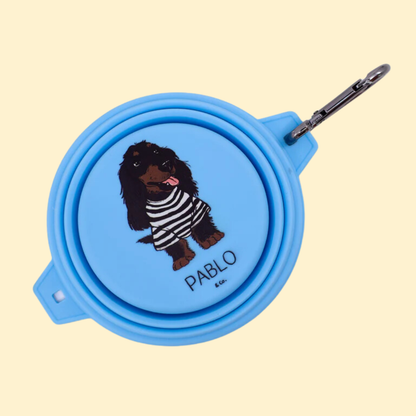 Pablo & Co Collapsible Dog Bowl