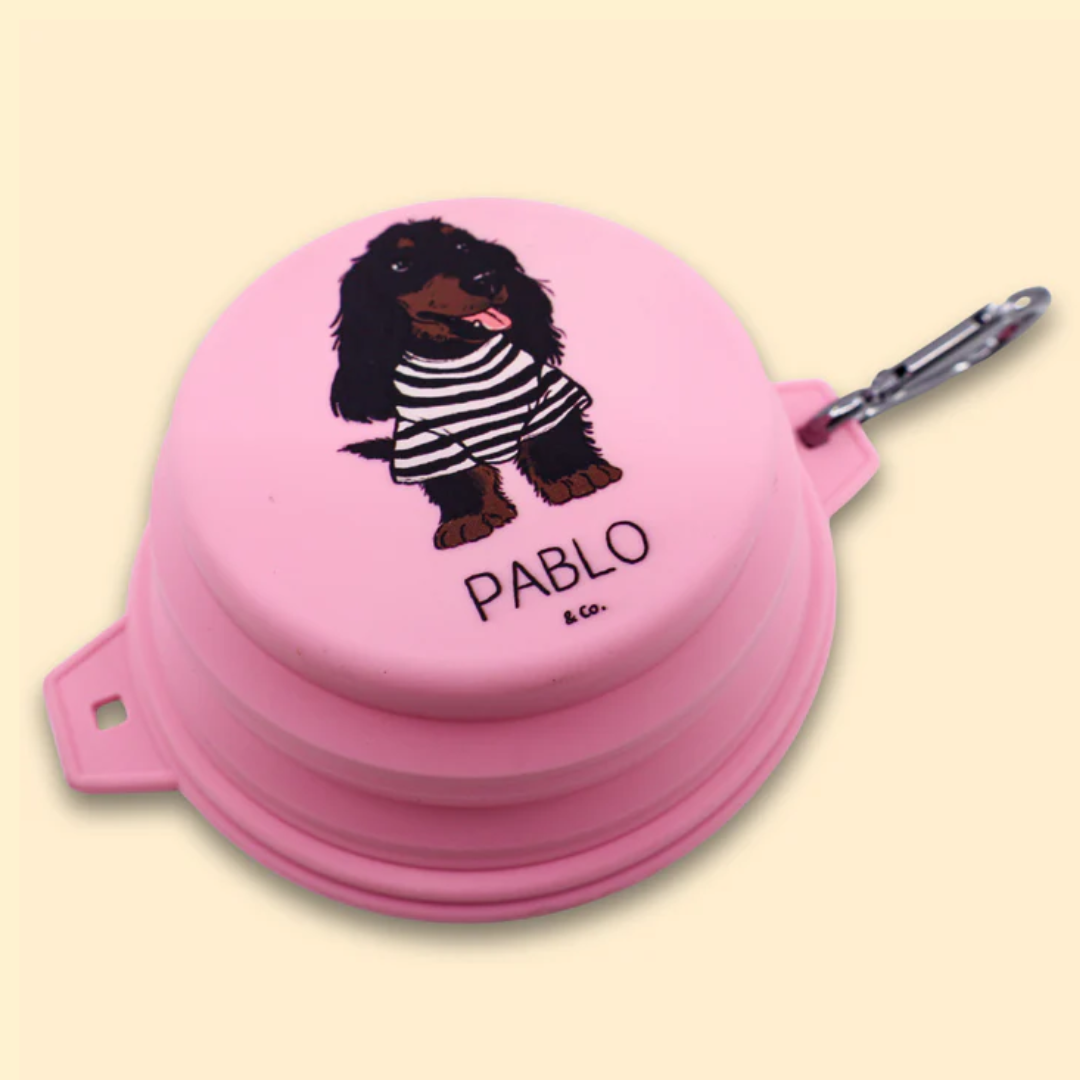 Pablo & Co Collapsible Dog Bowl