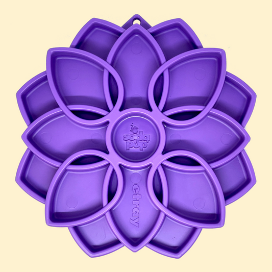 SodaPup Mandala - 4 Colours!