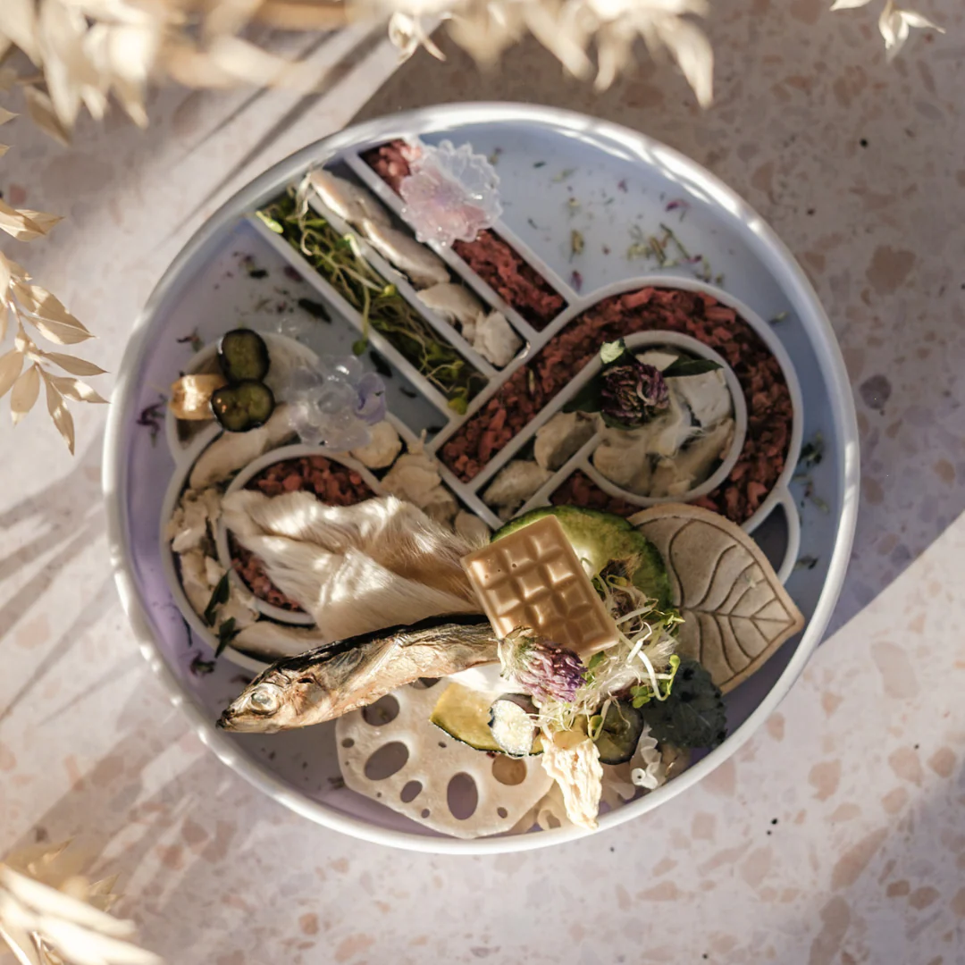 Zoomies slow feeder bowl | blueberry
