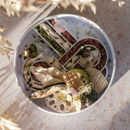 Zoomies slow feeder bowl | blueberry