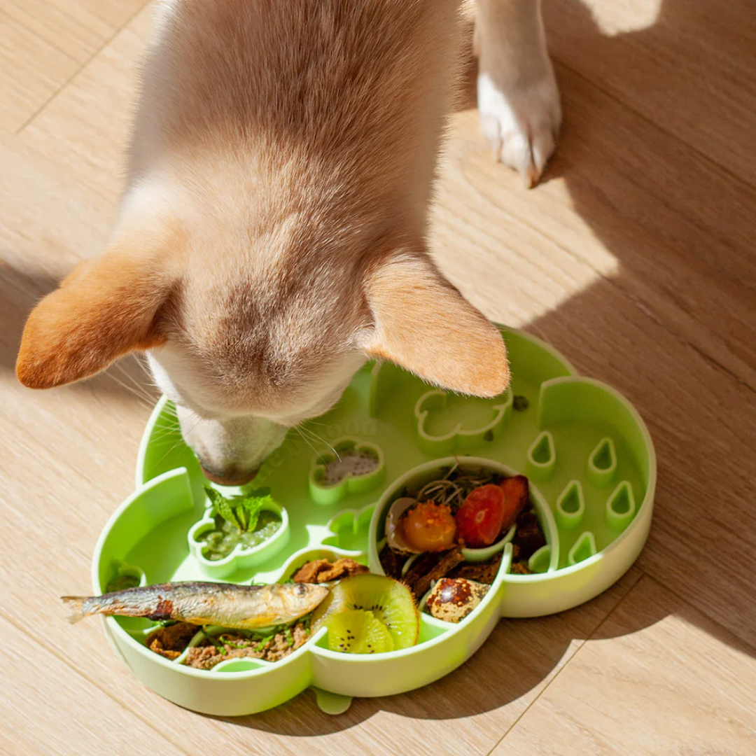 Cloud Slow Feeder Bowl | Honeydew