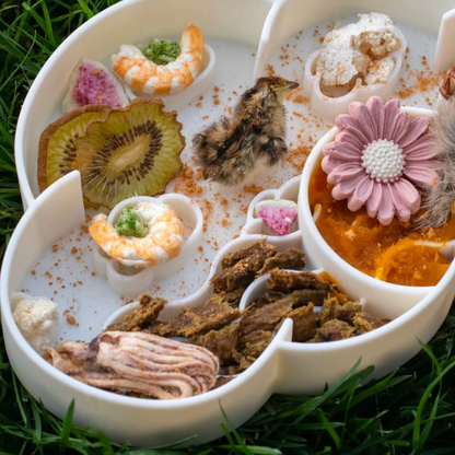 Cloud Slow Feeder Bowl | Coconut