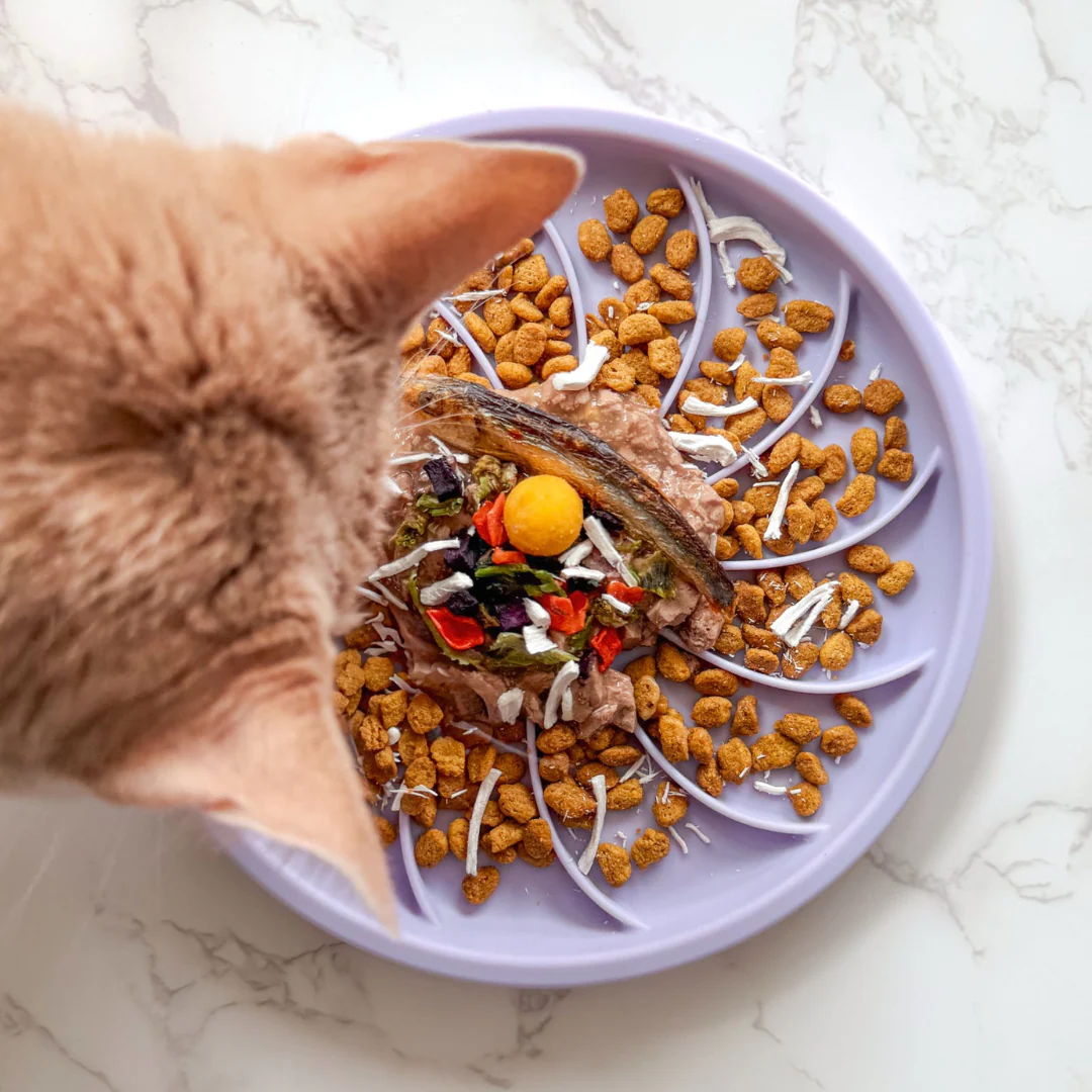 Wheelies lick mat | fig