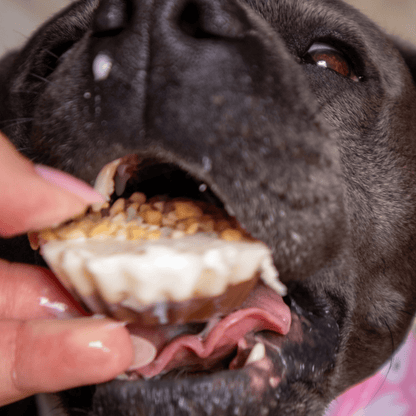 Pupcake Mould - Scoop Dog  