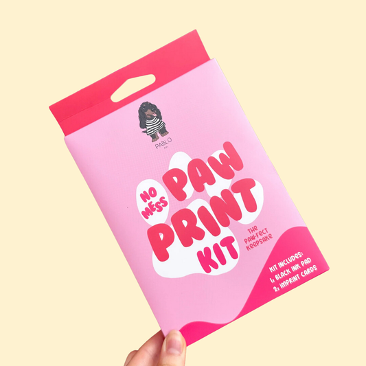 Pablo & Co No Mess Paw Print Kit