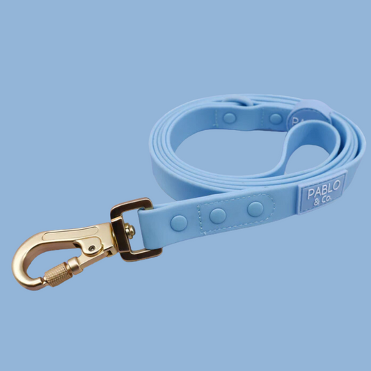 Pablo & Co Waterproof Lead - Sea Salt